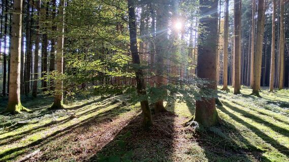 Photo de Martina Resch le long du parcours