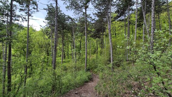 Fotografia z Claudia Maurer na trase