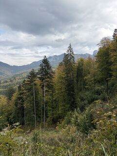 Photo de Martin Sicher le long du parcours