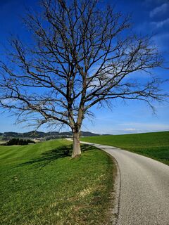 Foto von ElkeA entlang der Tour