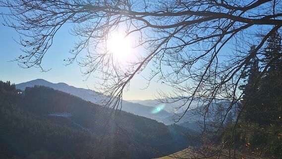 Foto von Susi Puhl entlang der Tour