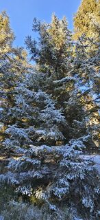 Foto de Mateja Rečnik a lo largo del recorrido