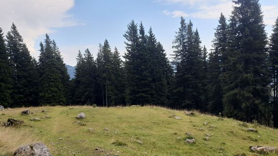 Fotografija s spletne strani Anica varga na poti