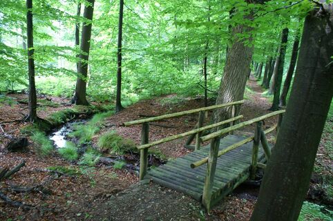 Brücke auf dem Bergmannsweg