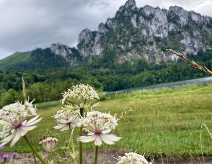 Fotografie z Natur_erleben_dg na trase