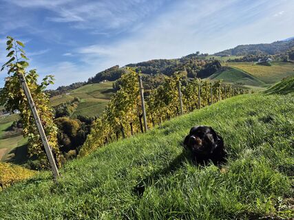 Foto från Manfred Kögler under resans gång