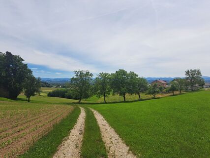 Foto de Bellou a lo largo del recorrido
