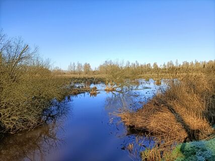 Foto von Kees Kalkman entlang der Tour