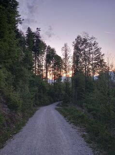 Photo de Anja Greiderer le long du parcours