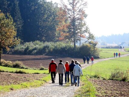 Wandern am Kneipprundwanderweg