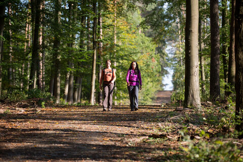 Riemsloher Wald