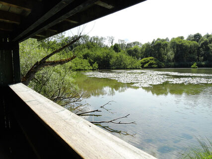 Petite Camargue