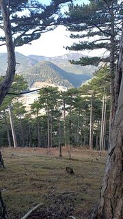 Photo de Bergpirat le long du parcours