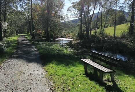 Dorfrunde Promenade Nr. 39