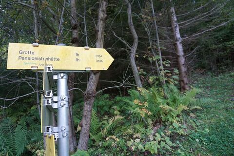 Zuerst dem Wanderweg 313A folgen bis auf einen Schotterweg