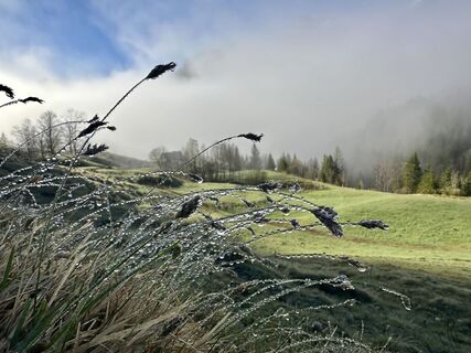 Foto de Natur_erleben_dg a lo largo del recorrido