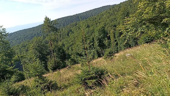 Fotografia z Bergpirat na trase