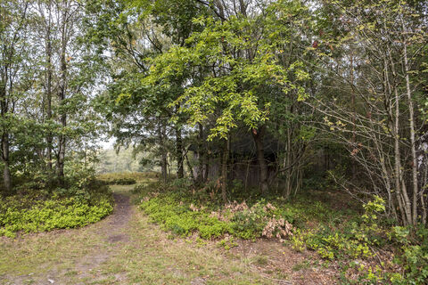 Boxberg Naturpark Aukrug