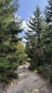 Photo de noah le long du parcours