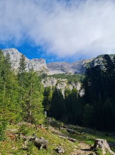 Photo de Tamara Schwarz 2 le long du parcours