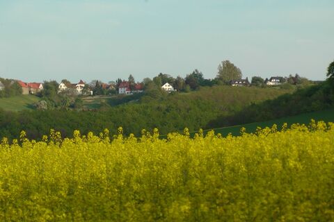 Ottensteiner Hochebene