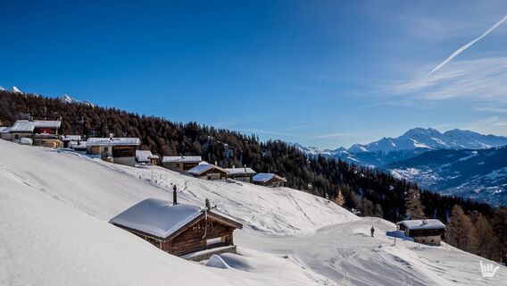 Stafel Untere Feselalpe