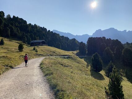 Fotografija s spletne strani Nicola Biancardi na poti