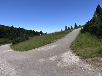 Foto von Olaf Sennhenn entlang der Tour