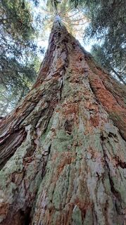 Fotografija s spletne strani Frau Gramurli na poti