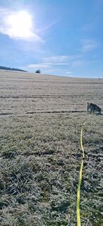 Foto van Eberle T langs de tour