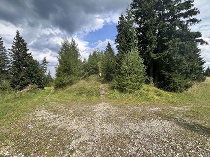 Fotografie z E F na trase