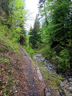 Foto von Bettina Miller 1 entlang der Tour