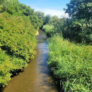 Fotografija s spletne strani mmecki na poti