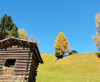 Entlang des Weges, Blick auf gepflegte Bergbauernwiesen