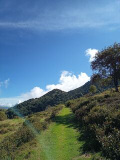 Zdjęcie z Aner wzdłuż trasy