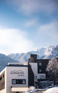 Alpinhotel