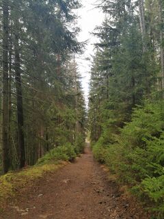 Fotografia z Mela na trase