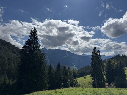 Fotografia z Andreas Kratzsch na trase