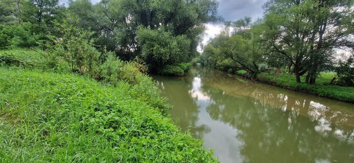 Foto da Utassy Tóth Johanna lungo il tour