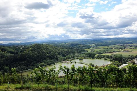 Blick vom Weinlehrpfad auf den Sulmsee