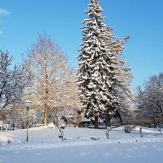 Schloßpark im Winter in der Oststeiermark