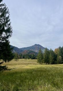 Fotografija s spletne strani Aurelian Böhler na poti