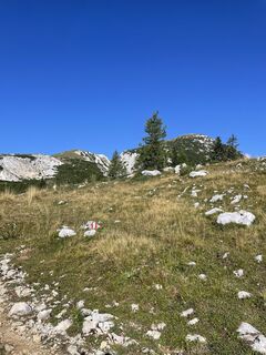 Foto von mmaier entlang der Tour