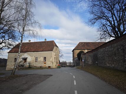Fotografia z Koisiegi Japankoi-Bonsai na trase