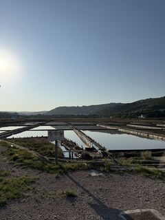 Foto från Daniela Hasibar under resans gång