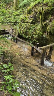 Photo de Planinc Igor le long du parcours