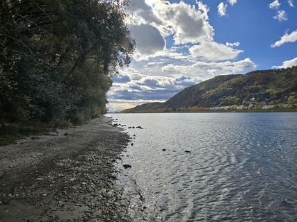 Foto van enipeus 65 langs de tour