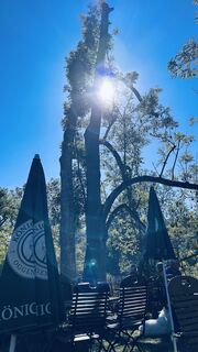 Photo de Blue Chili le long du parcours