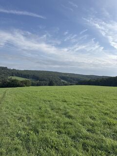 Фото с сайта Margarete Mierzwa во время экскурсии