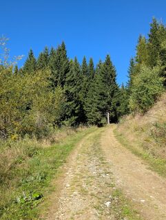 Photo de Anna Bärnthaler le long du parcours